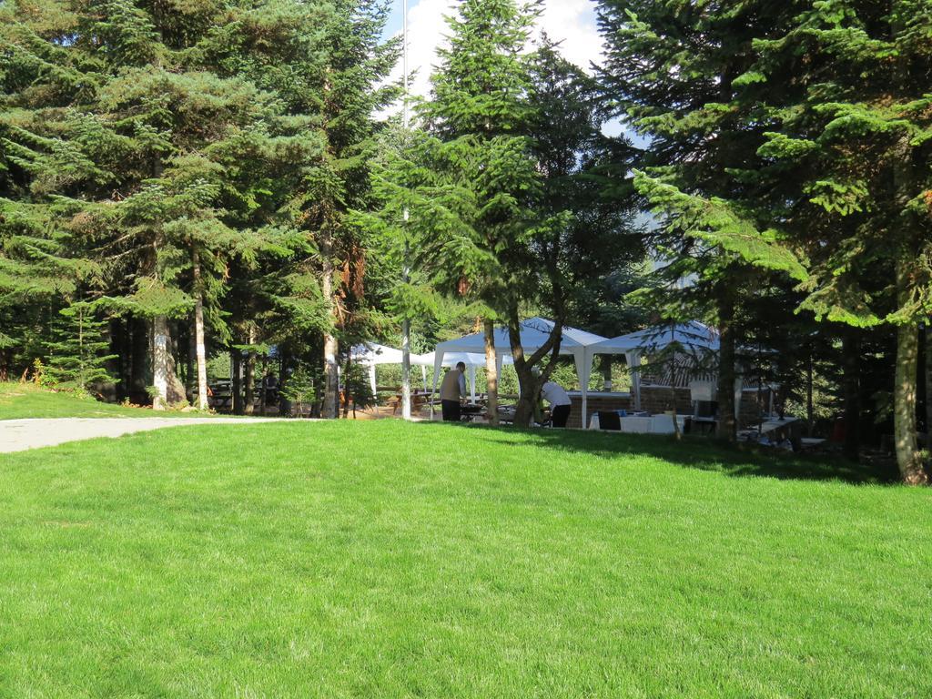 Jura Hotels Ilgaz Mountain Resort Bagian luar foto