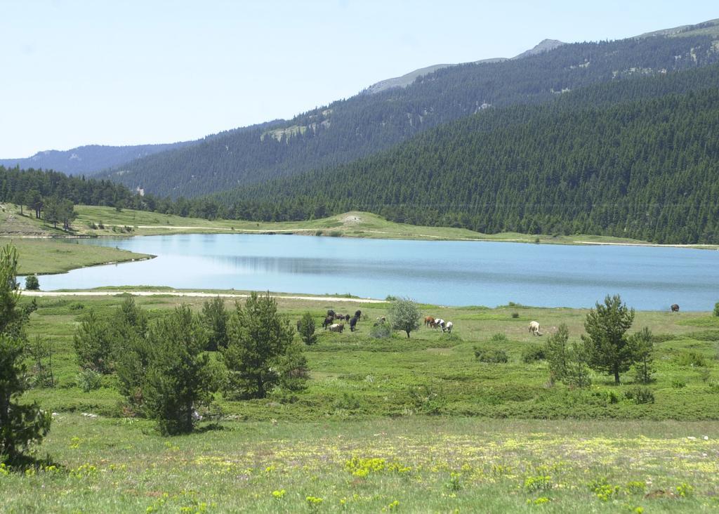 Jura Hotels Ilgaz Mountain Resort Bagian luar foto