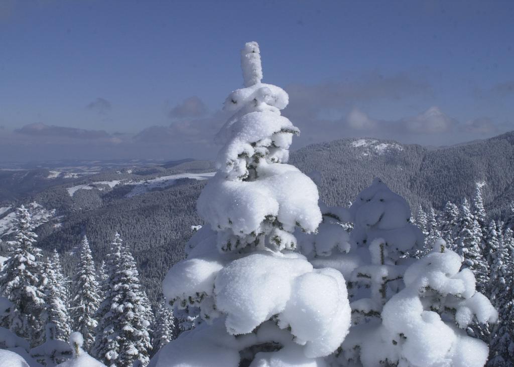 Jura Hotels Ilgaz Mountain Resort Bagian luar foto
