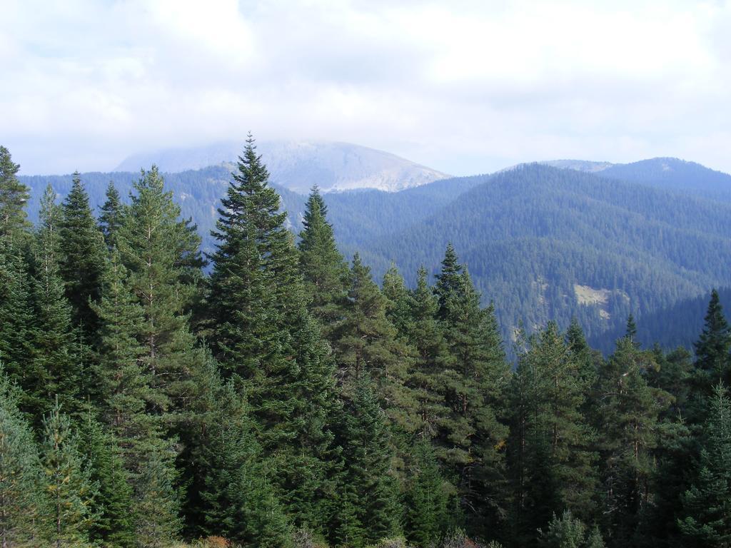 Jura Hotels Ilgaz Mountain Resort Bagian luar foto
