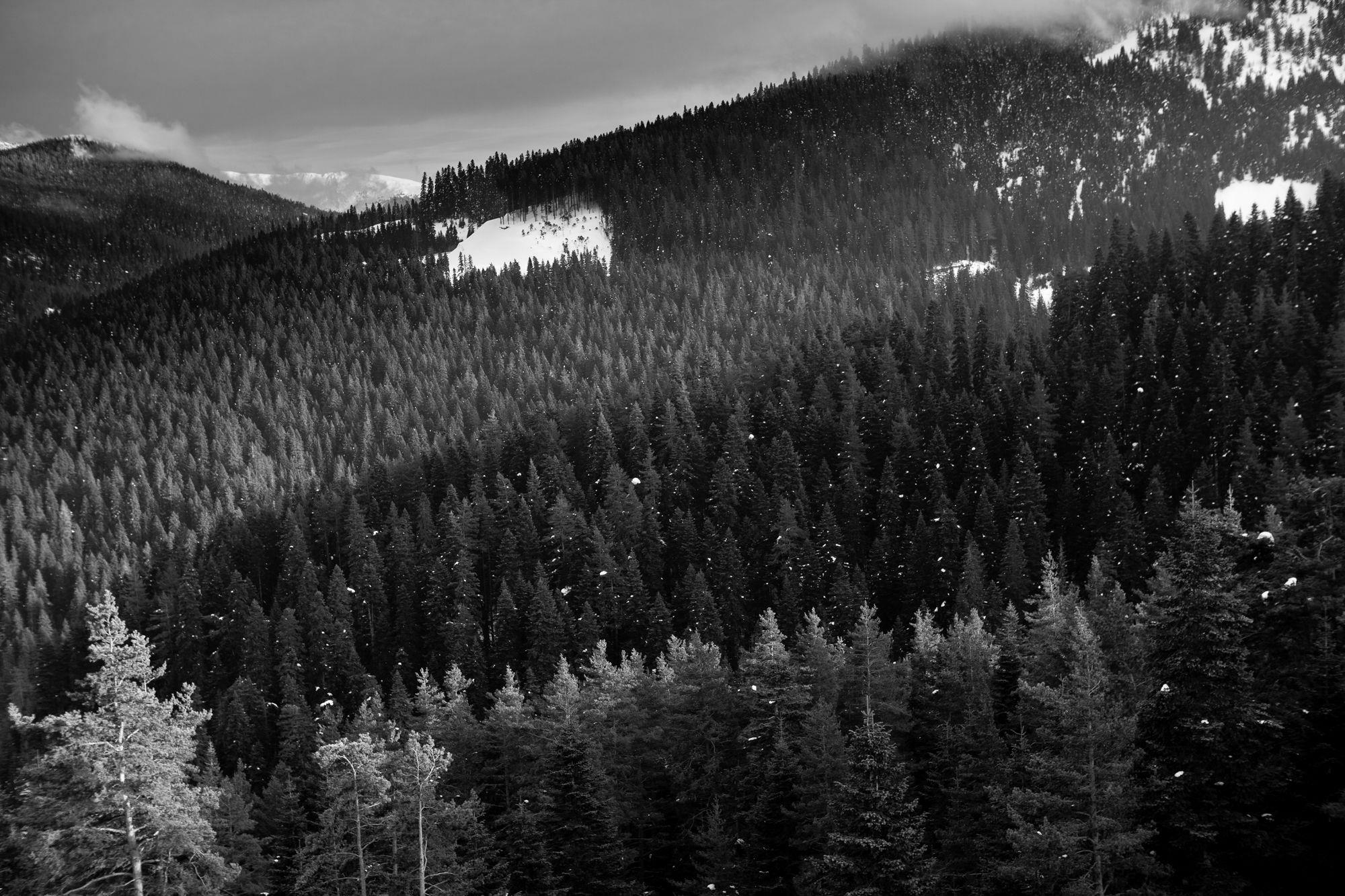Jura Hotels Ilgaz Mountain Resort Bagian luar foto
